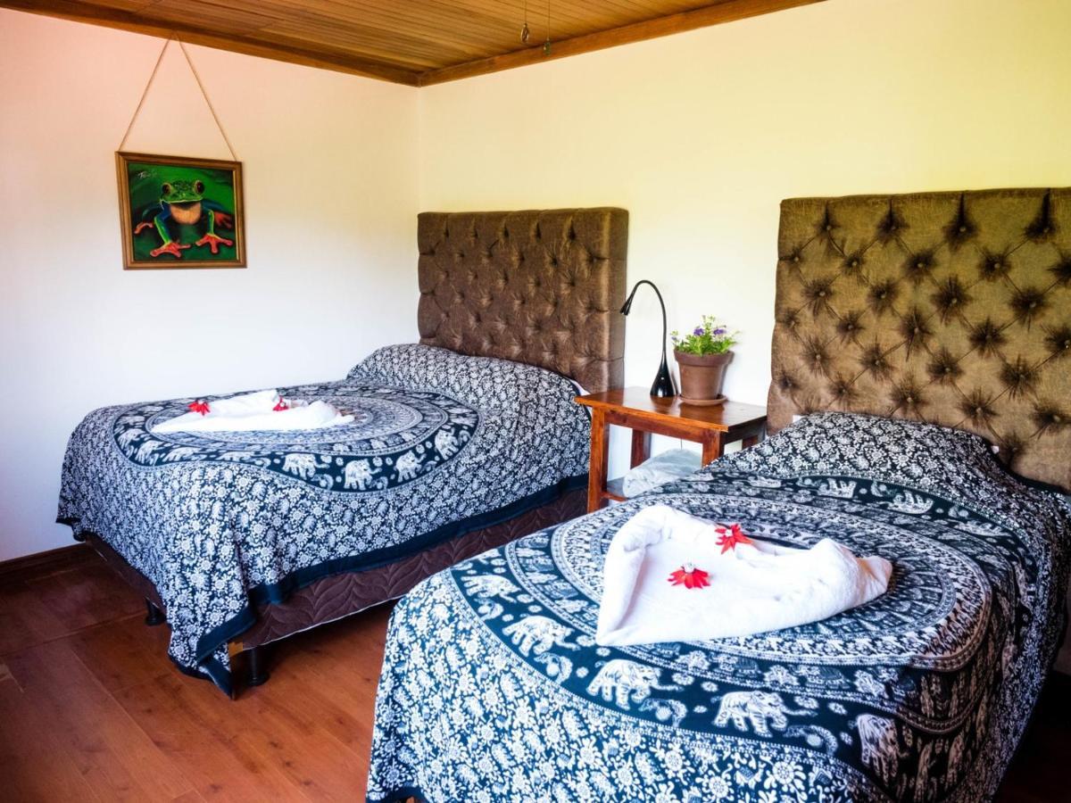 Ciudad Cariari Luna Inn B&B מראה חיצוני תמונה
