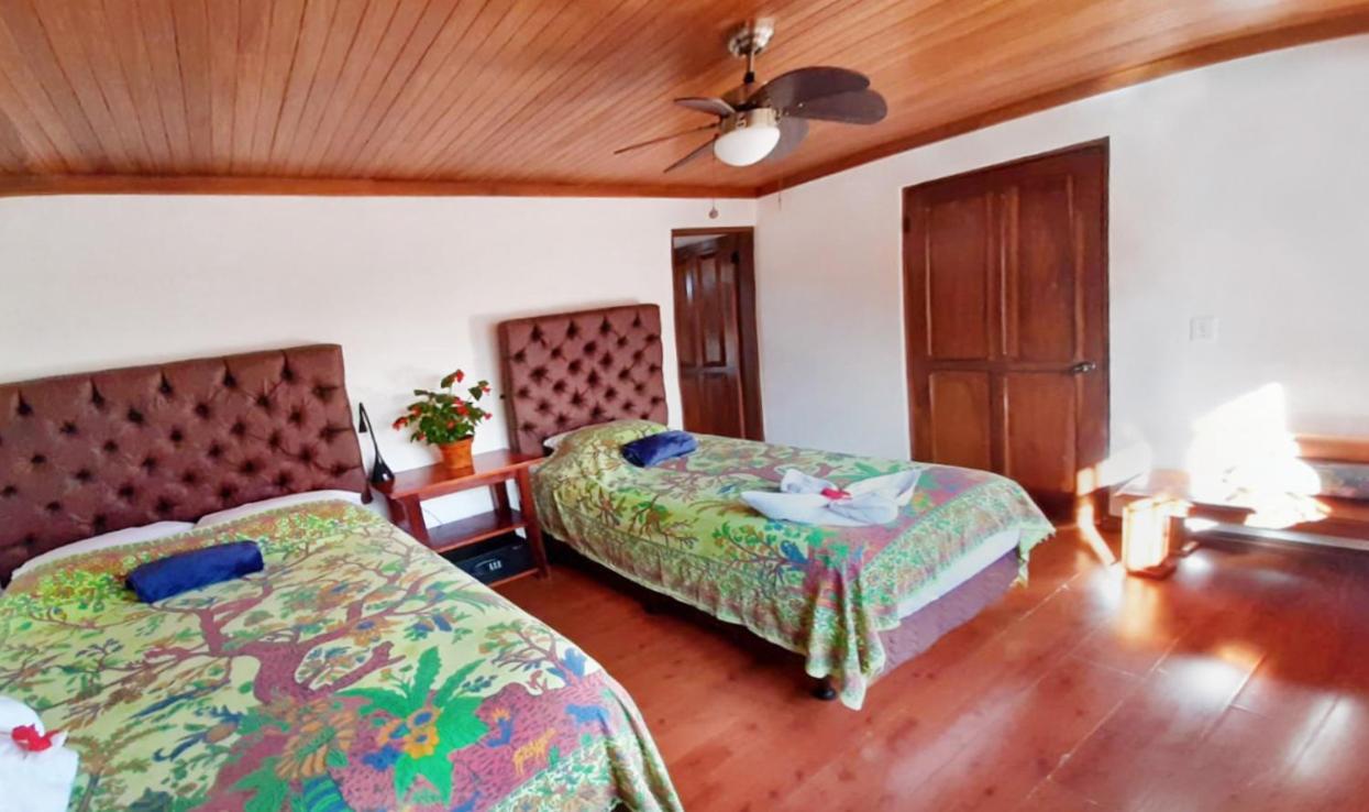Ciudad Cariari Luna Inn B&B מראה חיצוני תמונה