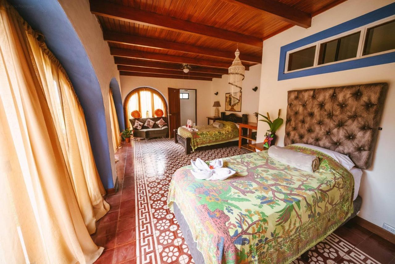 Ciudad Cariari Luna Inn B&B מראה חיצוני תמונה