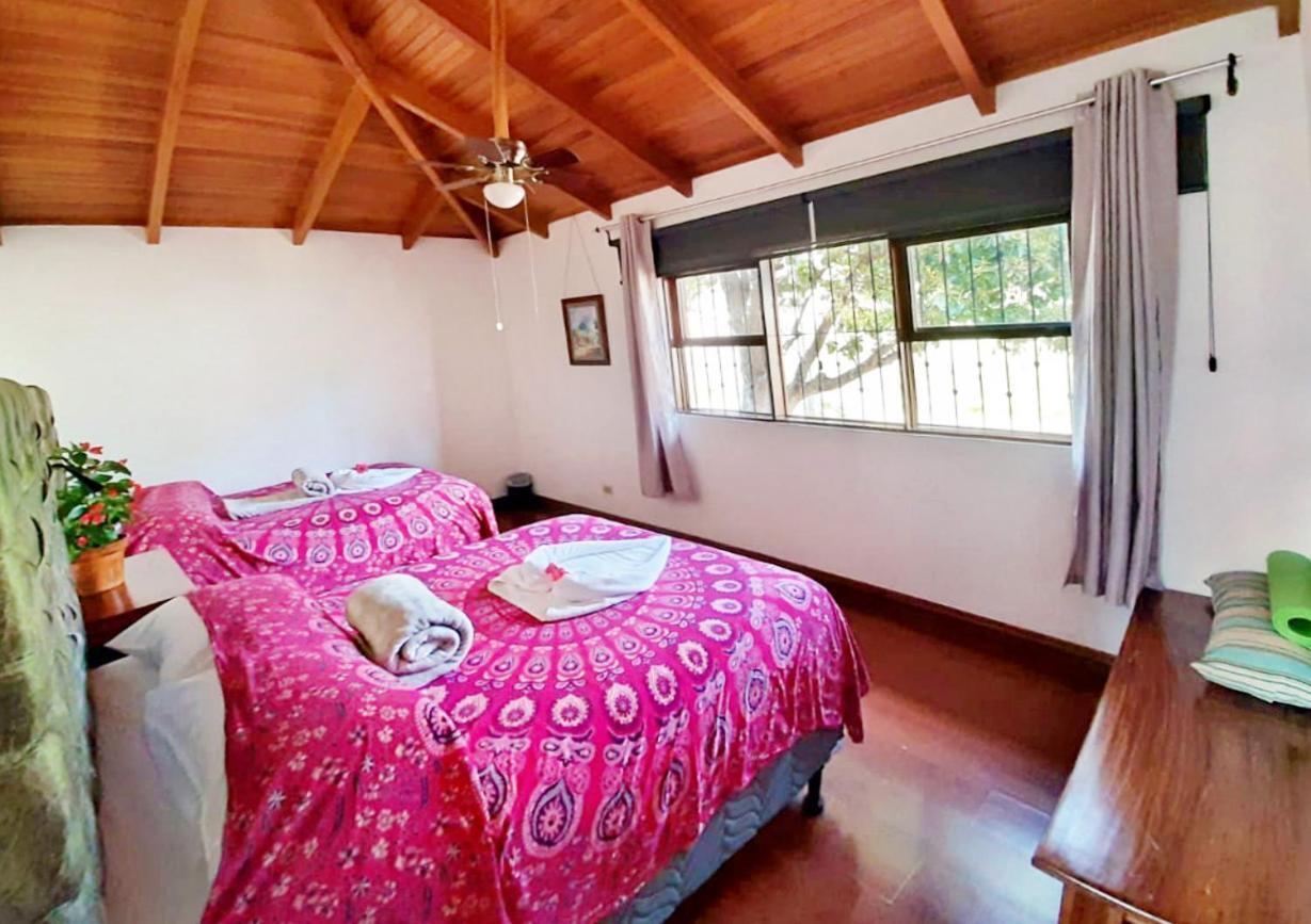 Ciudad Cariari Luna Inn B&B מראה חיצוני תמונה